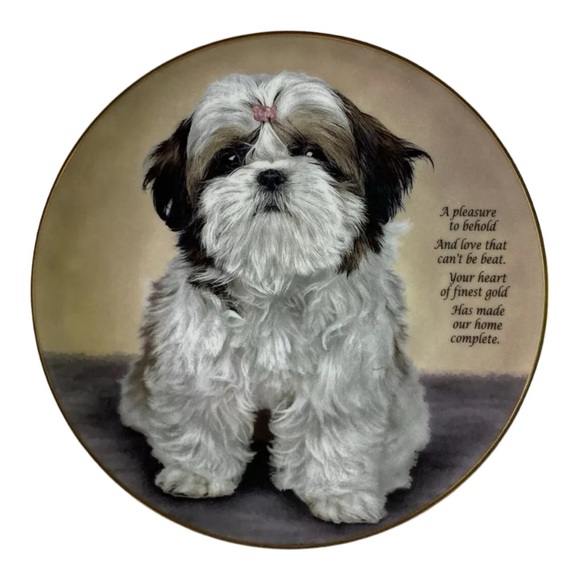 Cherished Shih Tzus HEART OF GOLD Plate Dog Puppy Danbury Mint Tzu Charming! - Picture 2 of 8